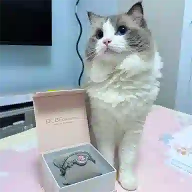 BCBGMAXAZRIA Lucky Cat Paw Watch