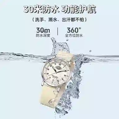 Dickies Quartz Watch