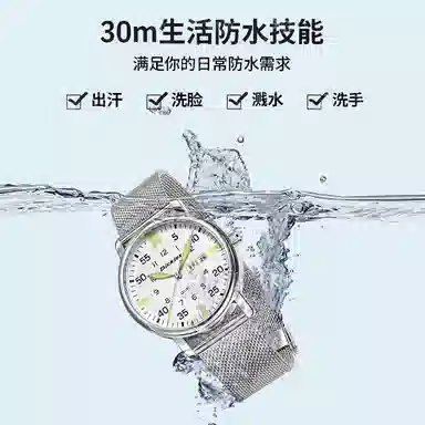 Dickies Quartz Watch Silver Dial