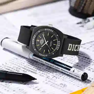 Dickies DK