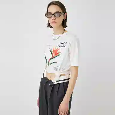 MOUSSY T