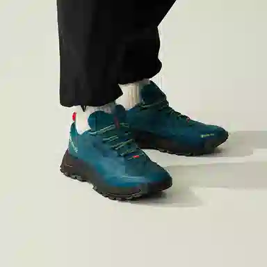 Reebok DMX Trail GTX Blue