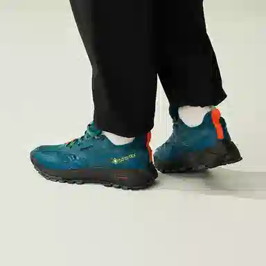 Reebok DMX Trail GTX Blue