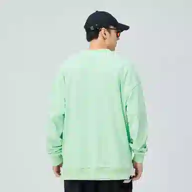 MDGR ins