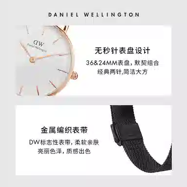 Daniel Wellington PETITEDanielWellington W307W447