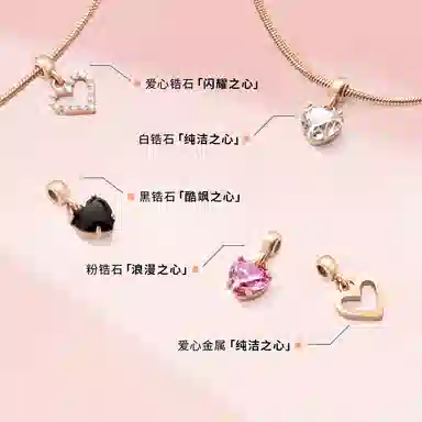 Daniel Wellington DW CHARMS