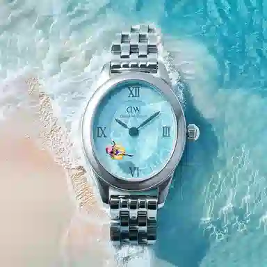 Daniel Wellington DW DW OPHELIA 25.5x22mm