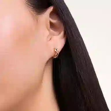 Daniel Wellington Chain Series Silver Earrings