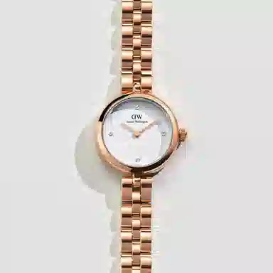 Daniel WellingtonDW DW 22mm 30m