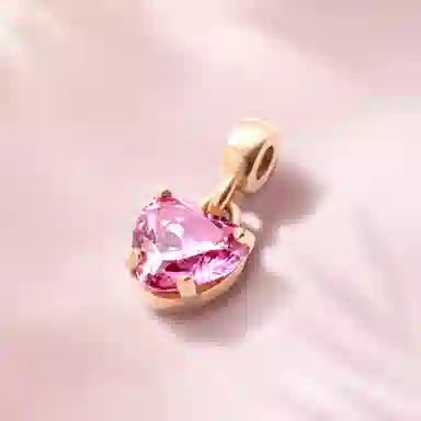 Daniel Wellington CHARMS