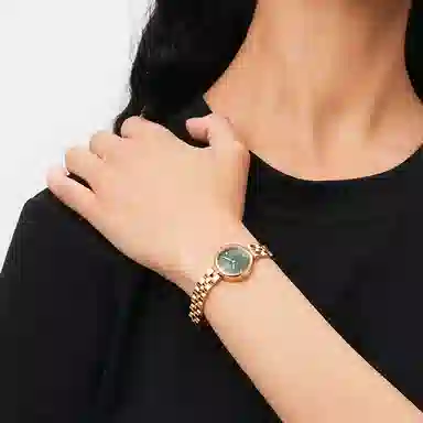 Daniel WellingtonDW DW 22mm 30m