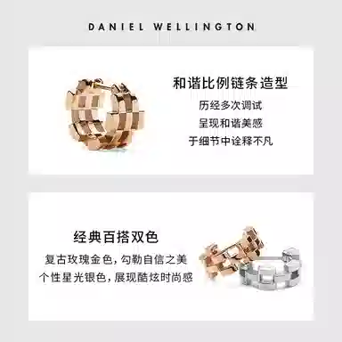Daniel Wellington Chain Series Silver Earrings