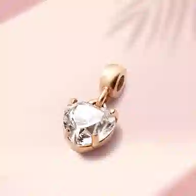Daniel Wellington CHARMS