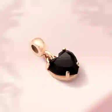 Daniel Wellington CHARMS