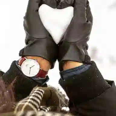 Daniel Wellington 34mm 30 DW00100156