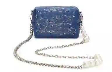 DIOR 811 mini