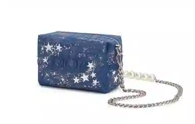 DIOR 811 mini