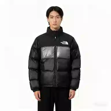 THE NORTH FACE Nuptse 811