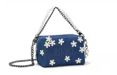 DIOR 811 15*9*11cm