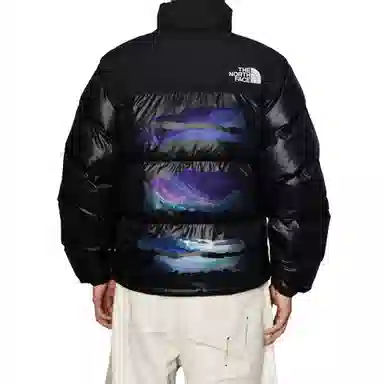THE NORTH FACE Nuptse 811