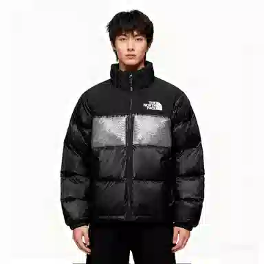 THE NORTH FACE Nuptse 811