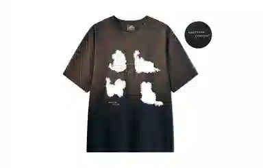 MANYSTON T