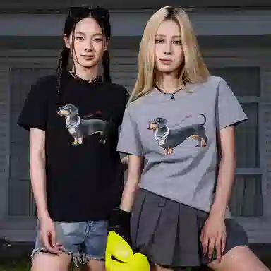 MANYSTON T