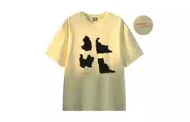 MANYSTON T
