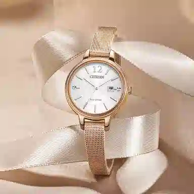 CITIZEN EW2447-89A