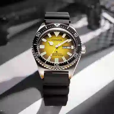 Citizen Promaster NY0120-01X