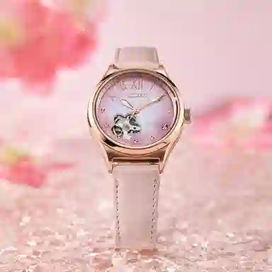 CITIZEN PC1017-70Y