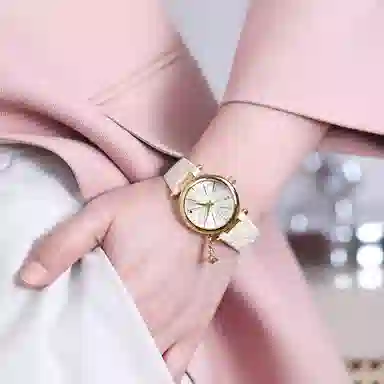 Vivienne Westwood DWVV006WHWH