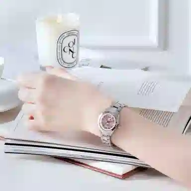 Vivienne Westwood DWVV292PKSL