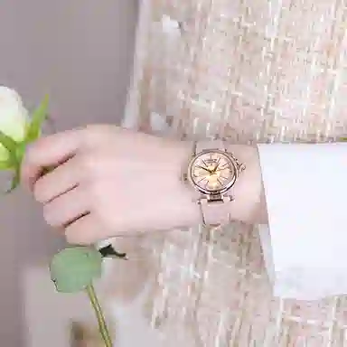 Vivienne Westwood DWVV006PKPK