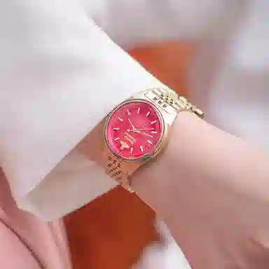 Vivienne Westwood DWVV251RRGD