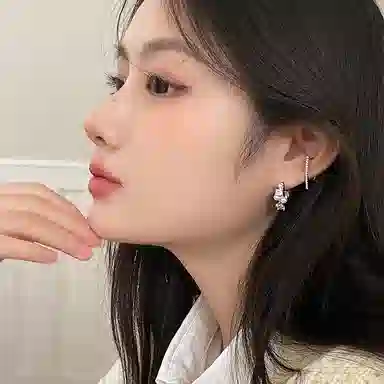 EAR PARTNER