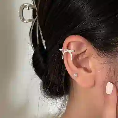 EAR PARTNER