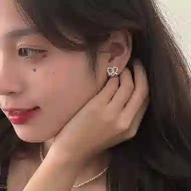 EAR PARTNER 925