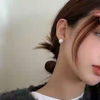 EAR PARTNER 925