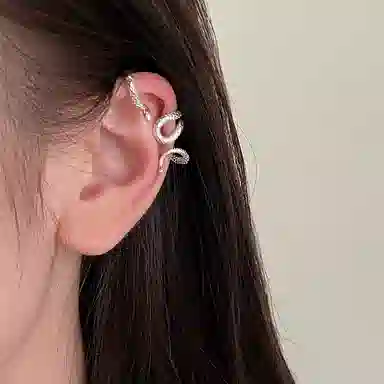EAR PARTNER