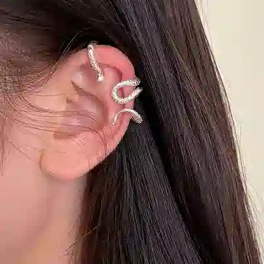 EAR PARTNER