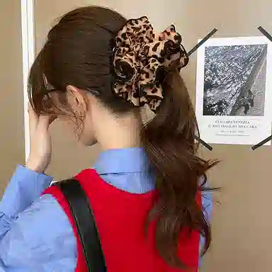 EAR PARTNER