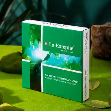 LaEstephe 28g*6+28g*5