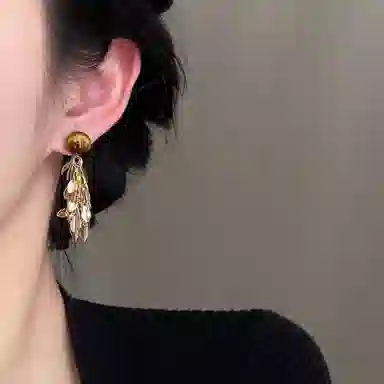 韵系 美拉德流苏 铜镀金 耳环 女款