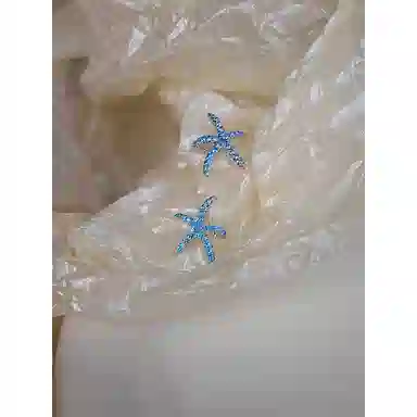 韵系 夏日海滩海星 铜镀金 耳钉 女款