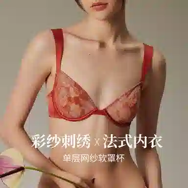 弗利少女 法式网纱刺绣蕾丝文胸软钢圈性感小胸内衣裤套装 女款 赤霞色