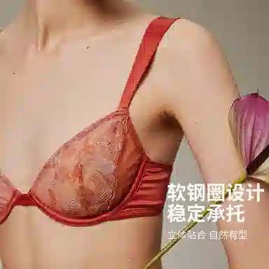 弗利少女 法式网纱刺绣蕾丝文胸软钢圈性感小胸内衣裤套装 女款 赤霞色