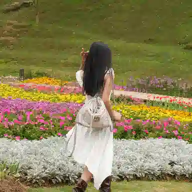 JELLYTOYBOY Roaming Bag Special Edition