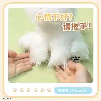 20cm