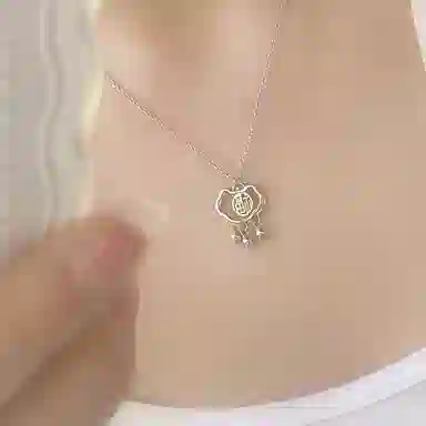 NRO 999
